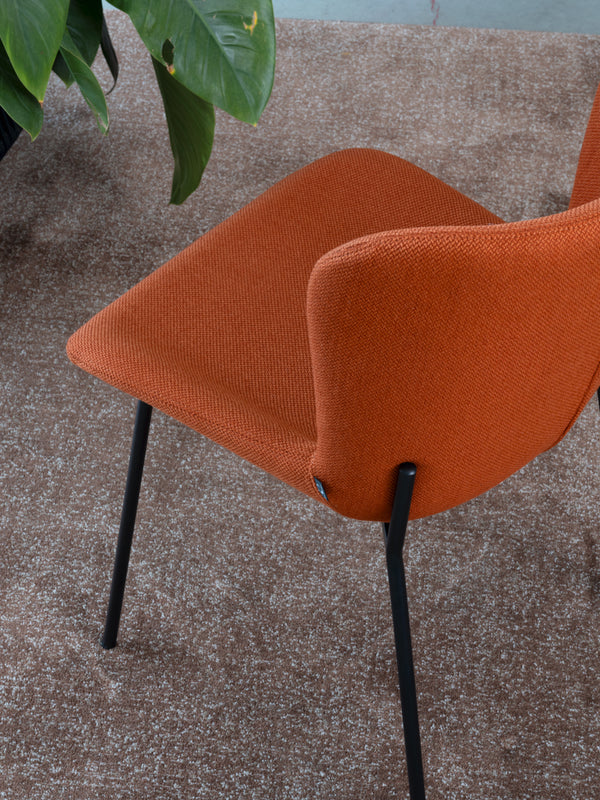 Connubia Sedia Forma CB2354