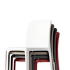 Connubia Sedia Bayo CB1983