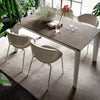 Connubia Sedia Desy cb2312