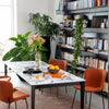 Connubia Tavolo Artic CB4855-R 110 A