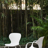 Connubia Sedia OPS! con Braccioli CB2311