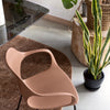 Connubia Sedia OPS! con Braccioli CB2311