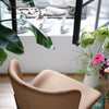 Connubia Sedia Forma CB2354