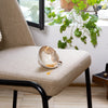 Connubia Sedia Juna CB2356