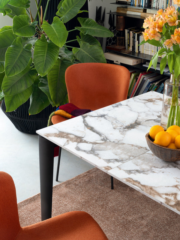 Connubia Sedia Forma CB2354