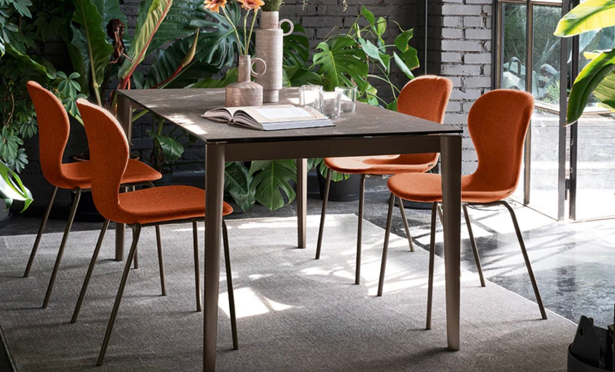 Black Friday Connubia