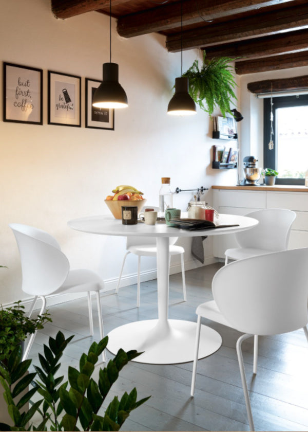 Connubia Sedia Tuka CB2134