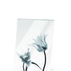 Mascagni Cornice A1152 cm 13x18 Trasparente